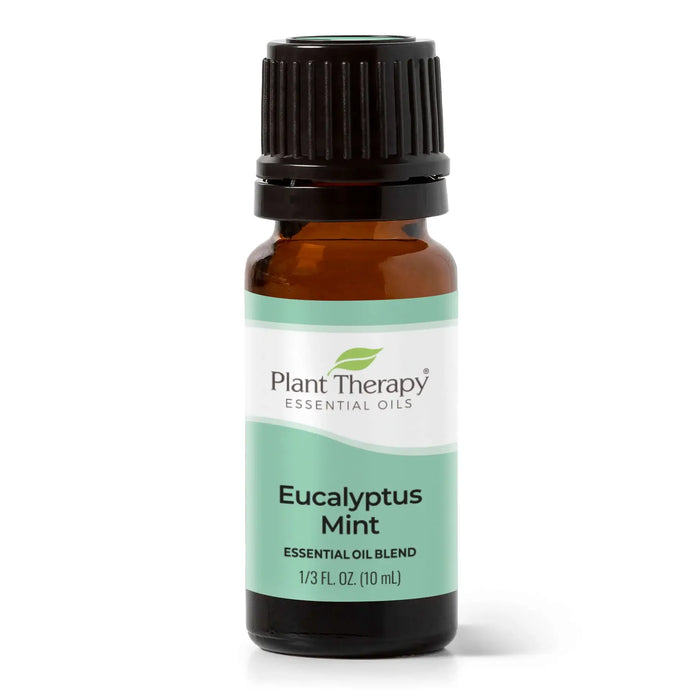 Ätherische Ölmischung Eukalyptus-Minze 10 ml – Pflanzentherapie