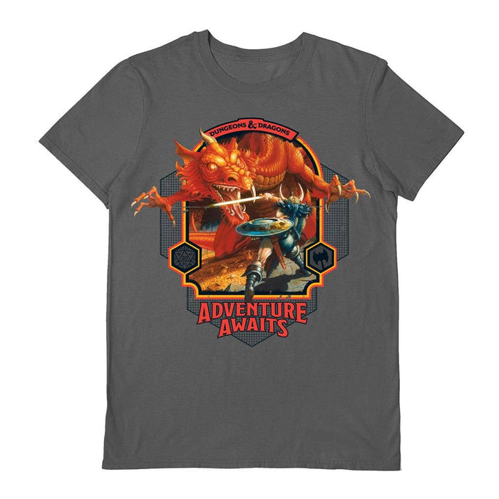 Dungeons&amp;Dragons Official Adventure Awaits Gray t-shirt 