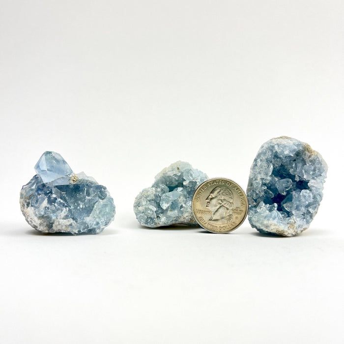 Selestiitti pieni klusteri | 2-4cm| Madagascar
