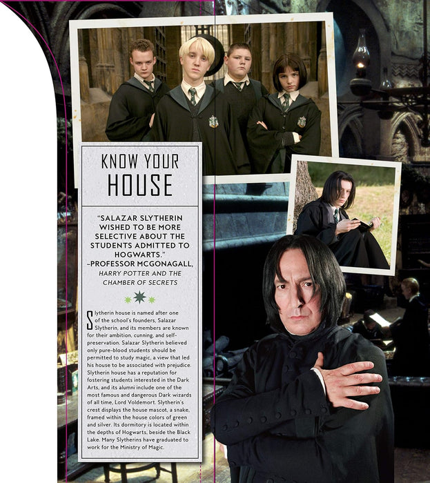 Harry Potter: Slytherin Magic - Artifacts from the Wizarding World - Jody Revenson