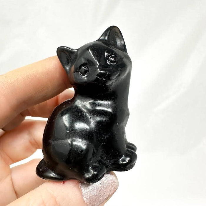 Obsidiaanikissa istuva