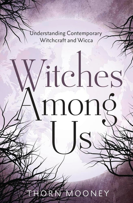 Witches Among Us: Understanding Contemporary Witchcraft and Wicca cover image