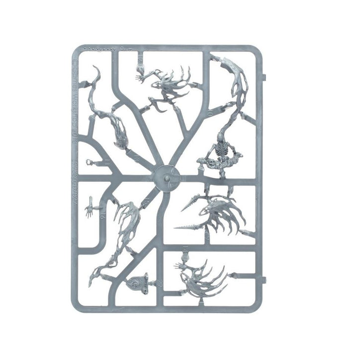 Nighthaunt: Spirit Hosts - Warhammer