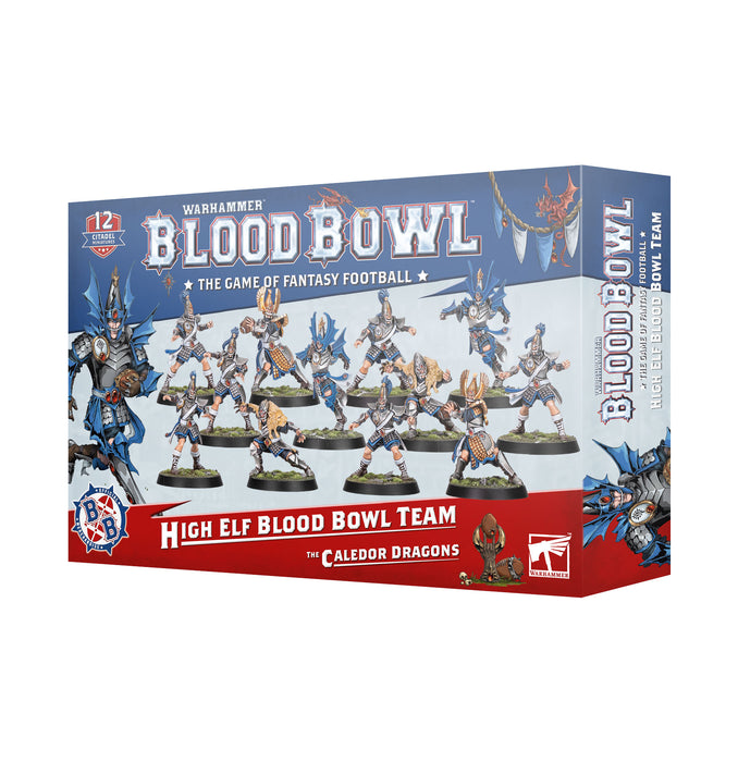Blood Bowl High Elves Team the Caledor Dragons - Warhammer