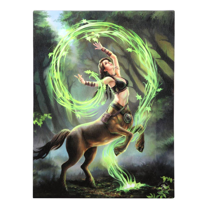 Earth Element Sorceress Canvas taulu - Anne Stokes