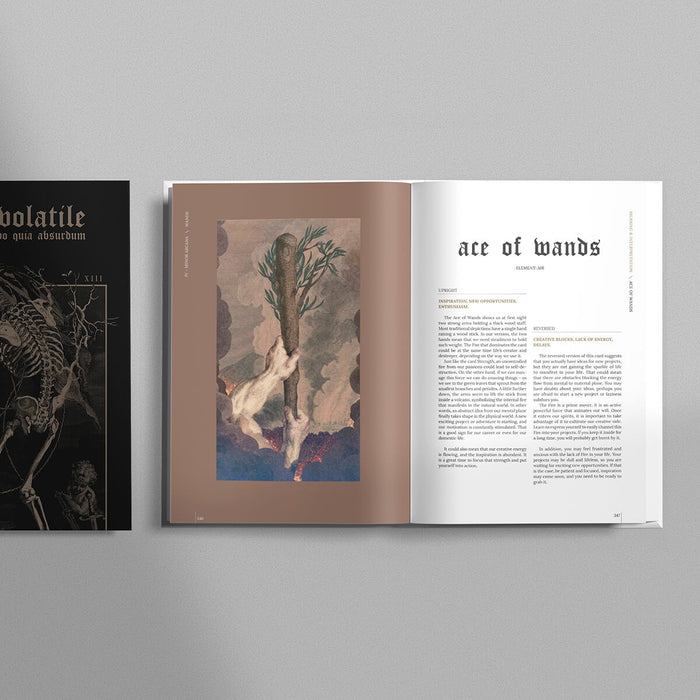 Terra Volatile Book - Credo quia Absurdum (indie, import)