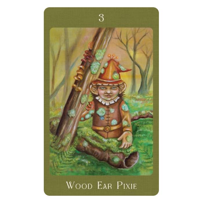 Mushroom Folk Oracle - Sharon McLeod