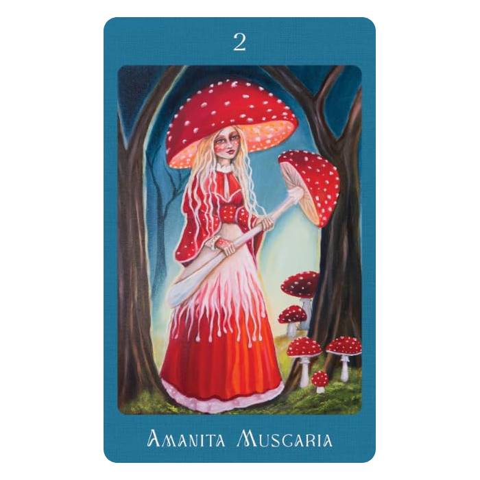 Mushroom Folk Oracle - Sharon McLeod