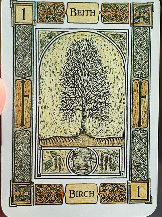 The Celtic Tree Oracle: A System of Divination - Liz Murray, Colin Murray