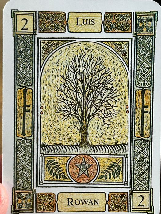 The Celtic Tree Oracle: A System of Divination - Liz Murray, Colin Murray