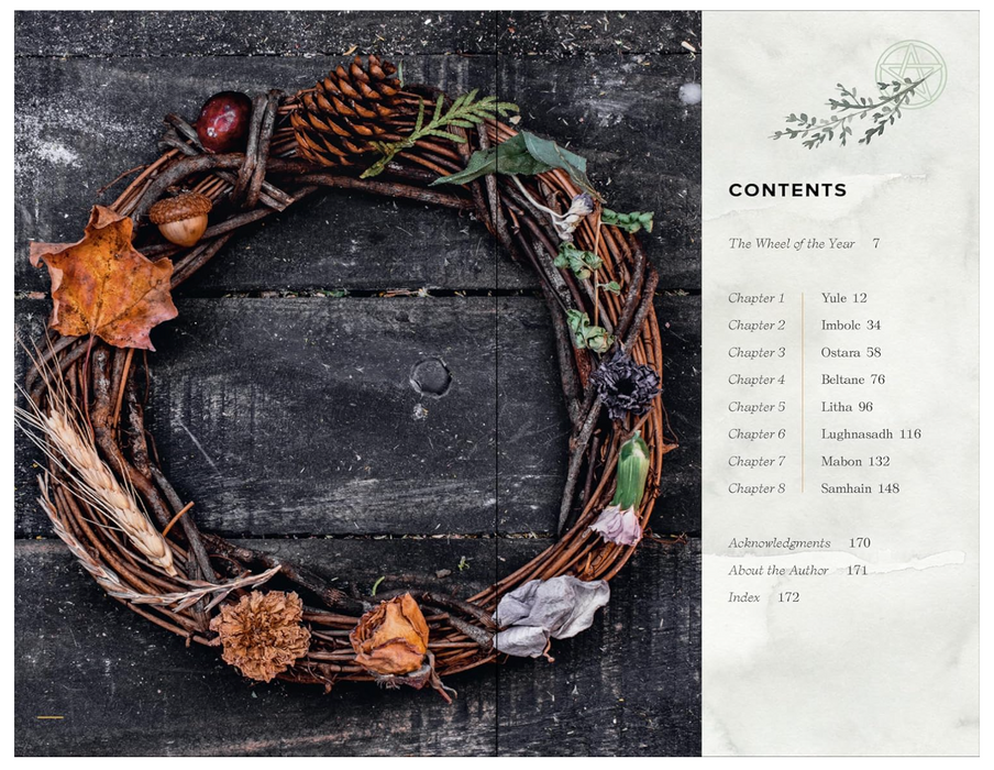 The Wheel of the Year Companion: Rituals for Celebrating Pagan Festivals of the Season