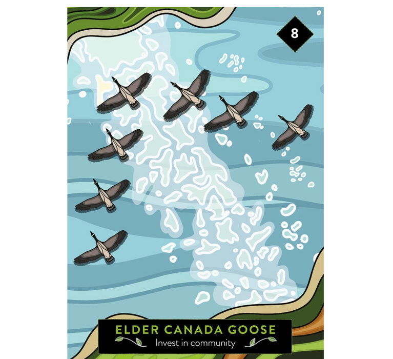 Elder Animal Oracle - Asha Frost