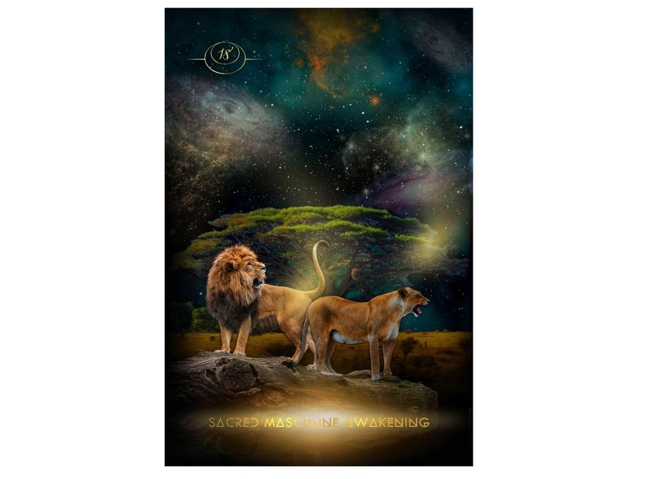 Creatrix Awakened Oracle Deck: Fierce Feminine Frequency Leaders - Shannon Van Den Berg and Stephanie Wicker-Campbell