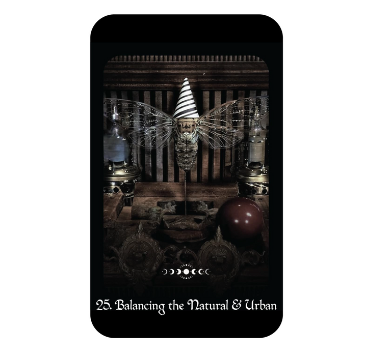 A Gothic Witch's Oracle by Raven Digitalis and John Santerineross