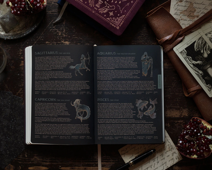 Astrological pocket planner 2026 - Magic of I