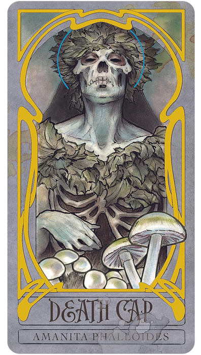 Lady Stirling´s Wicked Gaarden Oracle Deck - Matt Hughes