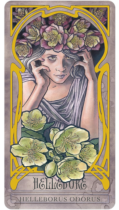 Lady Stirling´s Wicked Gaarden Oracle Deck - Matt Hughes