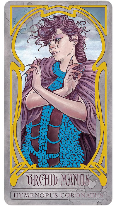 Lady Stirling´s Wicked Gaarden Oracle Deck - Matt Hughes