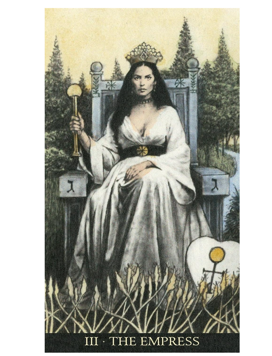 The Soul Seeker Tarot - Mirko Andreoli