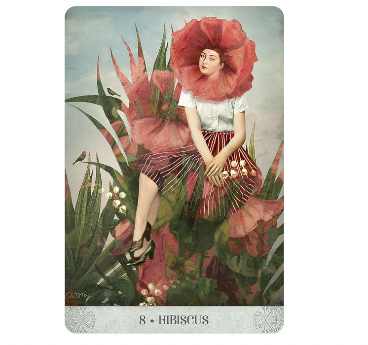 Botanical Dreams Oracle- Catrin Welz-Stein & Lynn Araujo