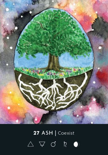 The Ritual Deck: A 52-Card Deck and Guidebook - Cassie Uhl