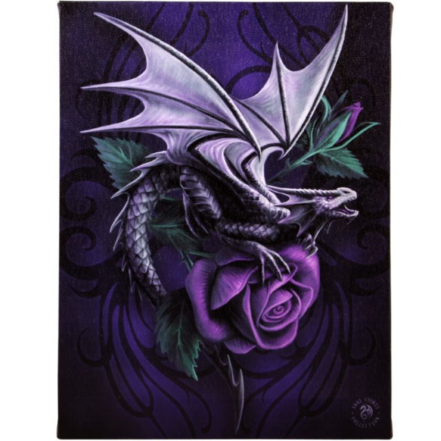 Dragon Beauty Canvas Taulu Anne Stokes