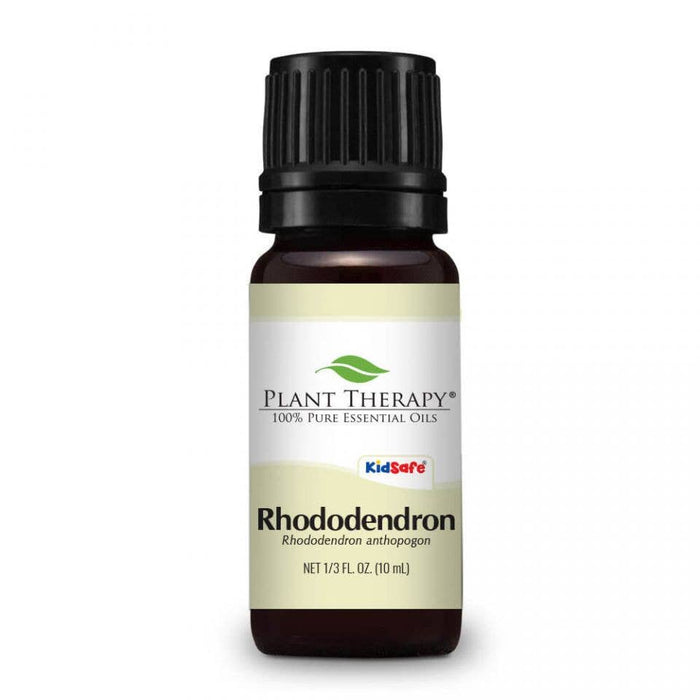 Rhododendron eteerinenöljy 10ml - Plant Therapy