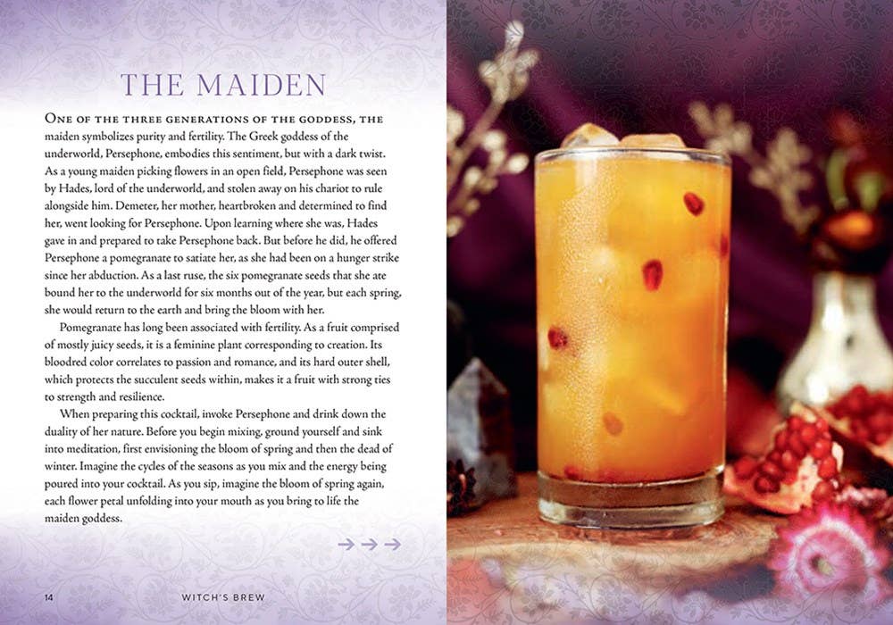 Witch's Brew: Magickal Cocktails to Raise the Spirits - Shawn Engel