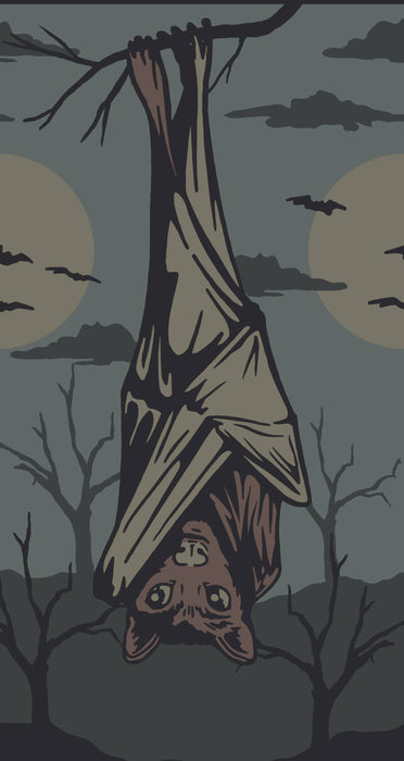 Bat Knee polvisukat - FootClothes