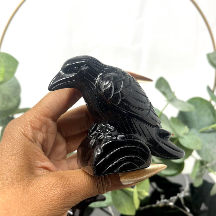 Obsidiaani varis