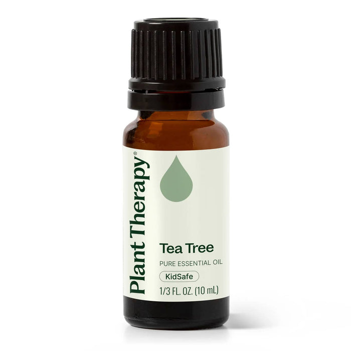 Tea Tree eteerinen öljy 10ml - Plant Therapy