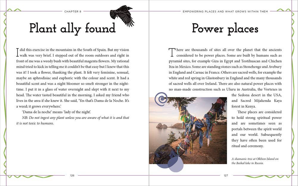 Essential Book of Shamanism: Your Powerful Healing Allies - Suzanne Edwards