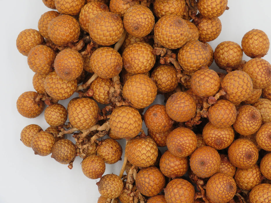 Rattan Fruit – luonnonkoriste