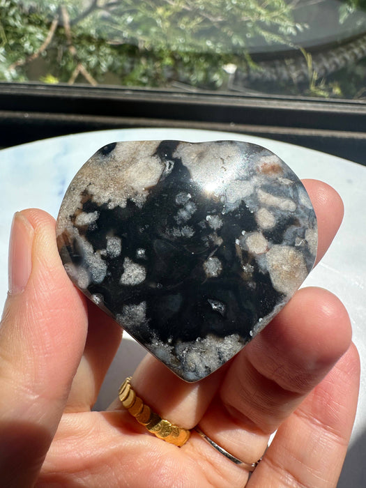 Musta kukka-akaatti sydän 4–6 cm – Kasvu ja suoja