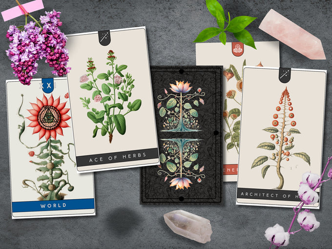 Voynich Tarot Deck: Unveil the Mysteries of the Enigmatic Manuscript - Griffin Publishing (Kickstarter 2025)