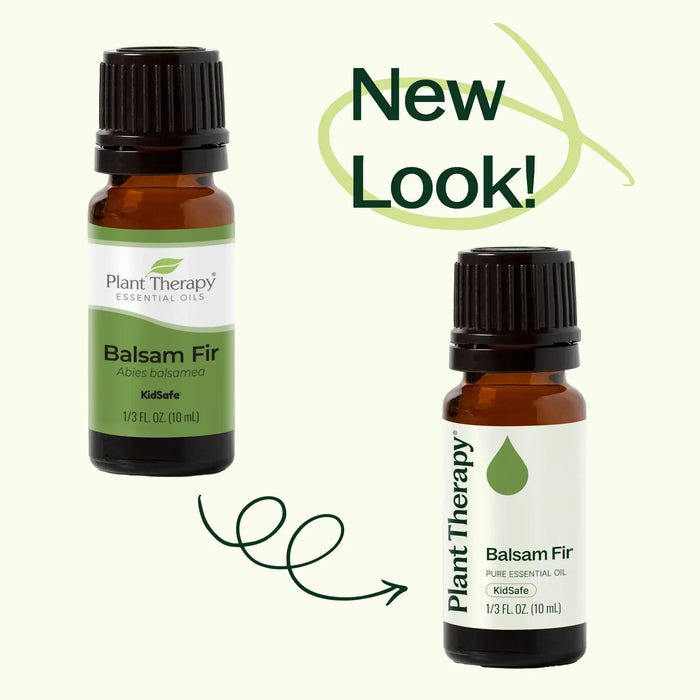 Balsam Fir Eteerinen öljy 10 ml - Plant Therapy