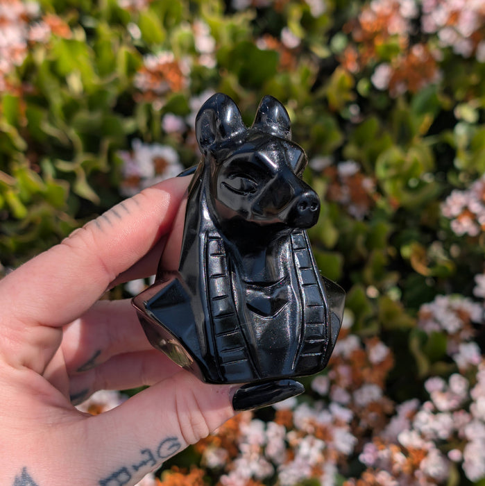 Obsidiaani Anubis