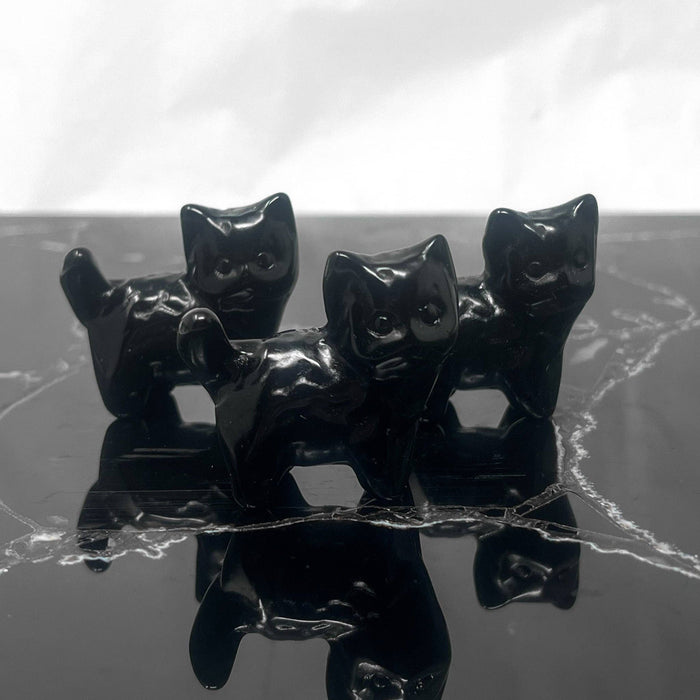 Obsidiaani kissanpentu