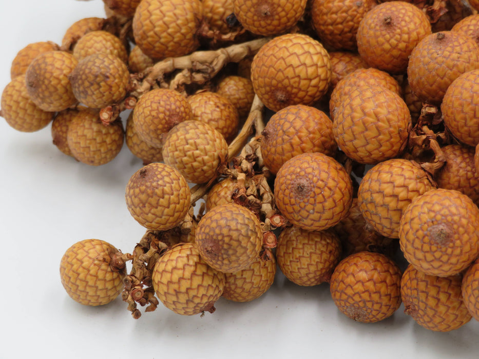 Rattan Fruit – luonnonkoriste
