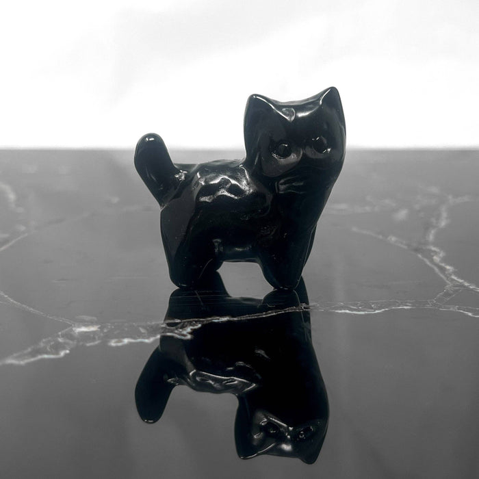 Obsidiaani kissanpentu