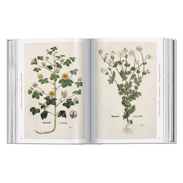 Leonhart Fuchs: The New Herbal (German, French, English)