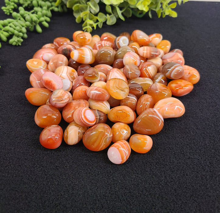 Striped carnelian 2-3cm