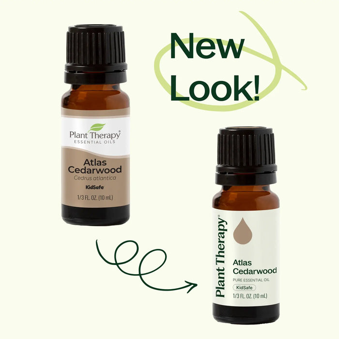 Atlas Cedarwood eteerinen öljy 10ml - Plant Therapy