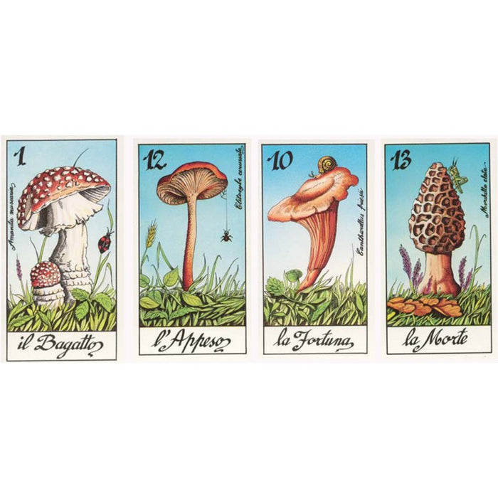 Most Beautiful Mushrooms - I Funghi Tarot Major Arcana - Il Meneghello Edizione