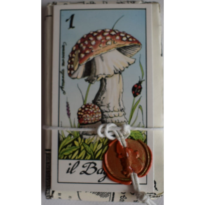 Most Beautiful Mushrooms - I Funghi Tarot Major Arcana - Il Meneghello Edizione