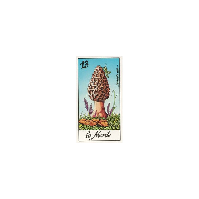 Most Beautiful Mushrooms - I Funghi Tarot Major Arcana - Il Meneghello Edizione