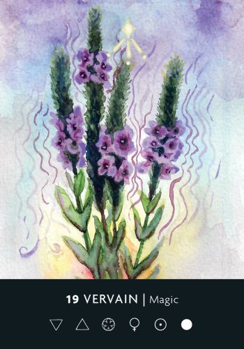 The Ritual Deck: A 52-Card Deck and Guidebook - Cassie Uhl