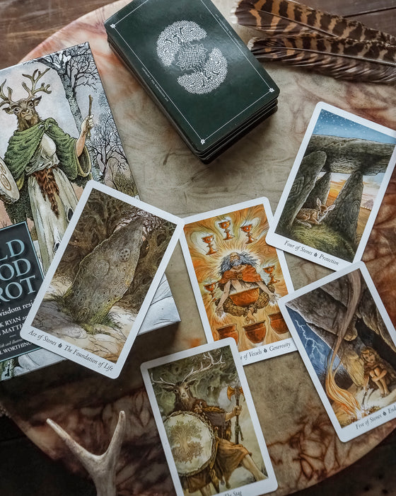 The Wild Wood Tarot: Wherein Widsom Resides Paperback – Mark Ryan, John Matthews, Will Worthington