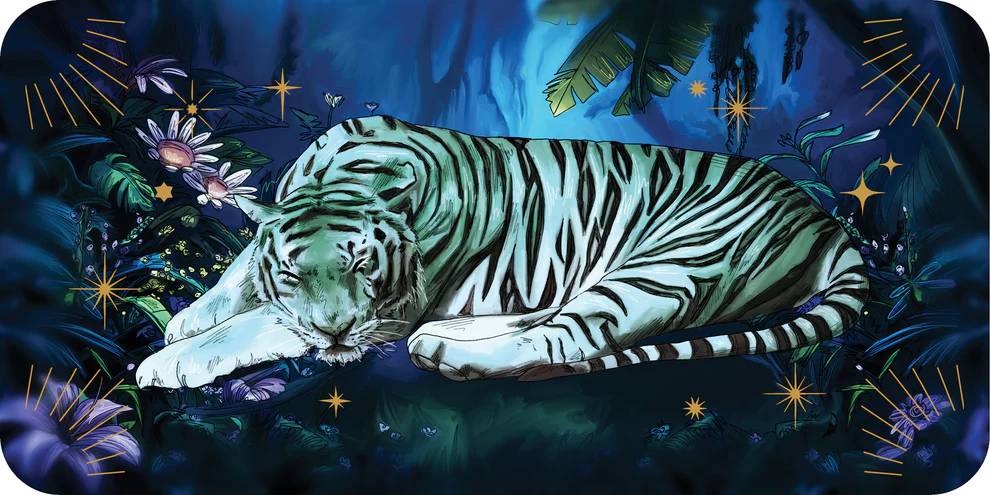 Sleeping Spirits: Midnight Messages for Peaceful Rest (Rockpool Mini Cards) - Helena Elias