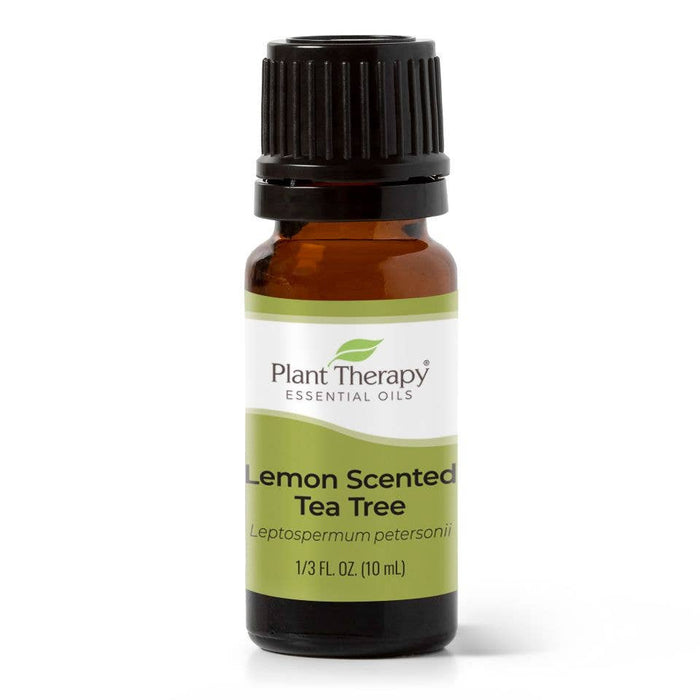 Zitronenteebaum 10 ml ätherisches Öl – Pflanzentherapie